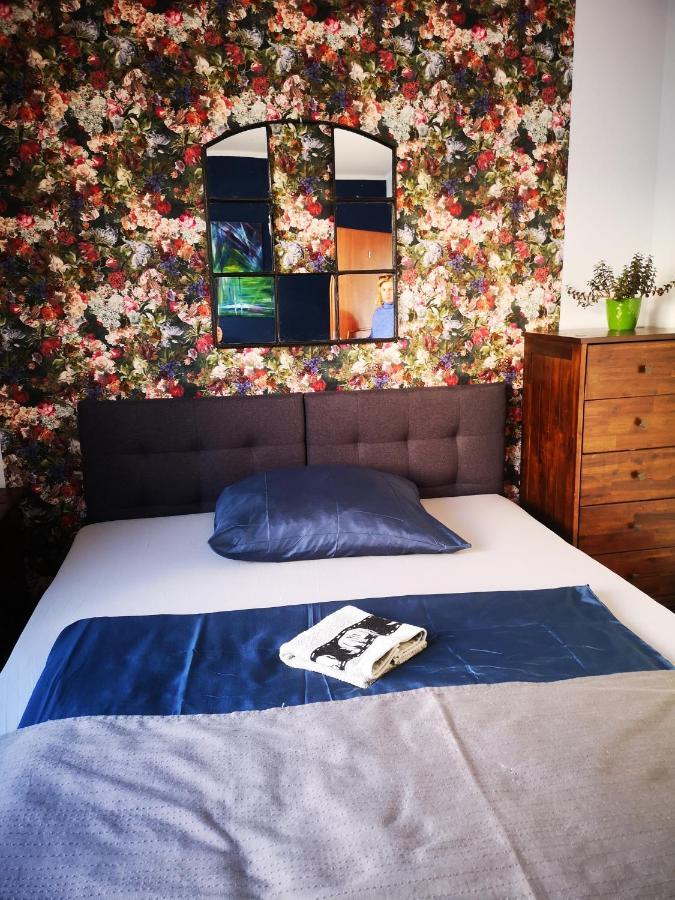 Hostel Mazurska 8A Olsztyn  Exteriör bild